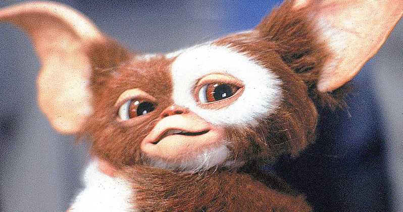 “Gremlins” tendrá precuela animada